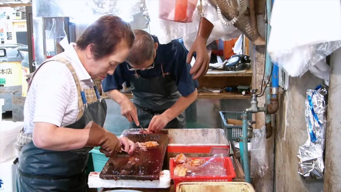 (B) Food Discovery – Japan 720p (B) Food Discovery - Japan 720p