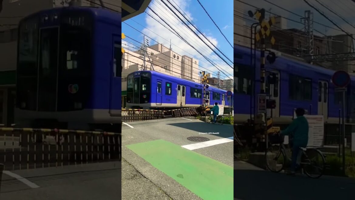 Railway crossing #railway #shorts #railcrossing #japan #travel #日本