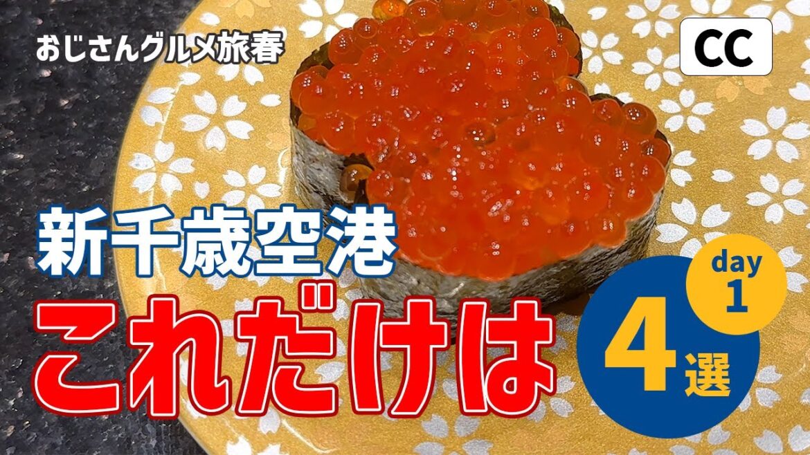 【新千歳空港から出ないグルメ旅1日目】オススメ/寿司/いくら/スープカレー/パフェ/おじさん/観光/温泉/hokkaido/trip/vlog