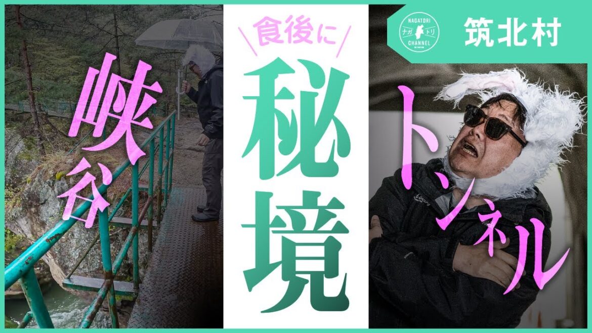 【長野県・筑北村】春のお出かけ!食後のちくほく散歩! | ナガトリ 【長野県・筑北村】春のお出かけ!食後のちくほく散歩! | ナガトリ