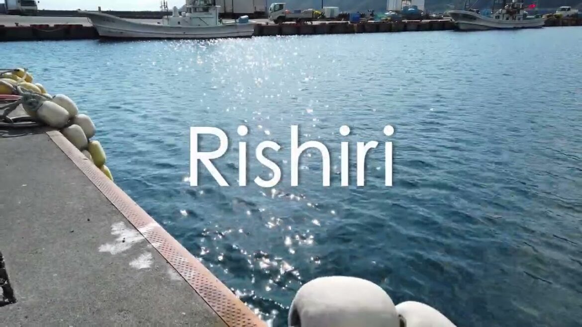 Rishiri/Rebun/Nature/Hiking/Hokkaido in summer|travel vlog#12|The landscapes by wareware Rishiri/Rebun/Nature/Hiking/Hokkaido in summer|travel vlog#12|The landscapes by wareware