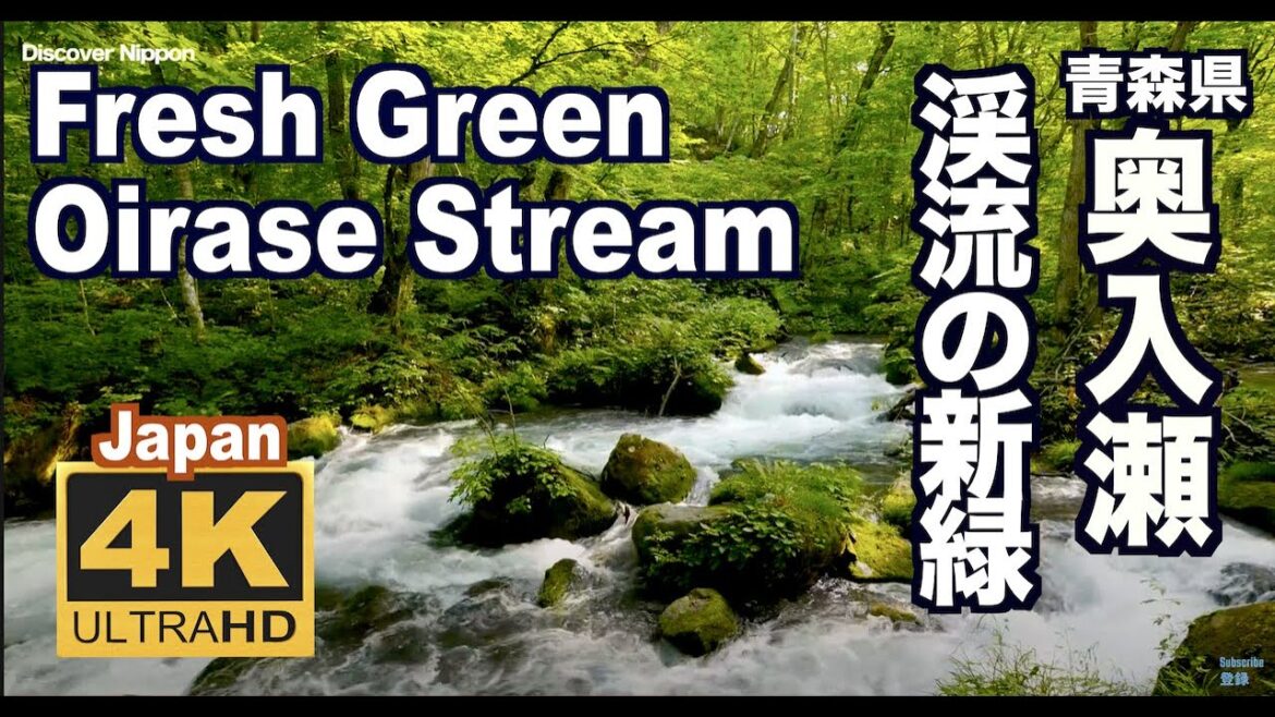 4K 奥入瀬渓流の新緑 Fresh Green Oirase Stream in nature is beautiful 旅行 観光 Discover Nippon 十和田観光 JAPAN せせらぎ 4K 奥入瀬渓流の新緑 Fresh Green Oirase Stream in nature is beautiful 旅行 観光 Discover Nippon 十和田観光 JAPAN せせらぎ