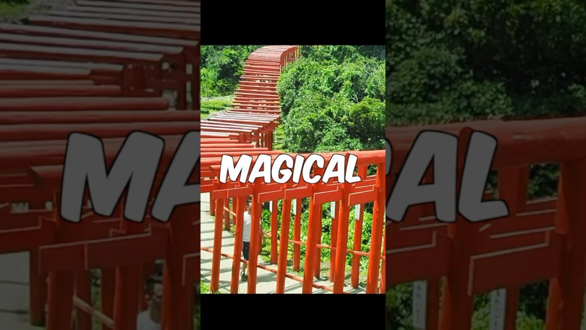 Japan: This place is epic #japan #shorts #shrine