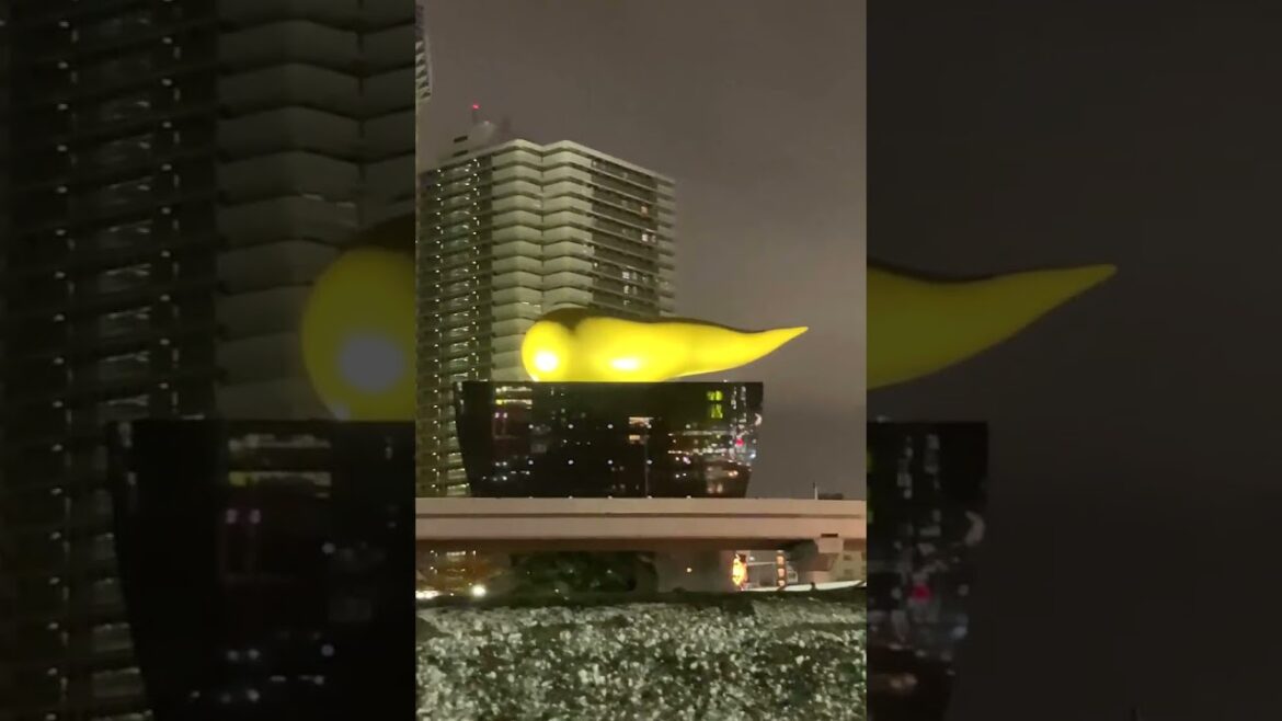 What is THIS in Tokyo?