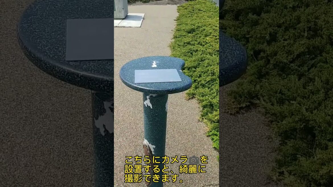 【函館観光】啄木小公園をざっくり紹介してみた。 #shorts