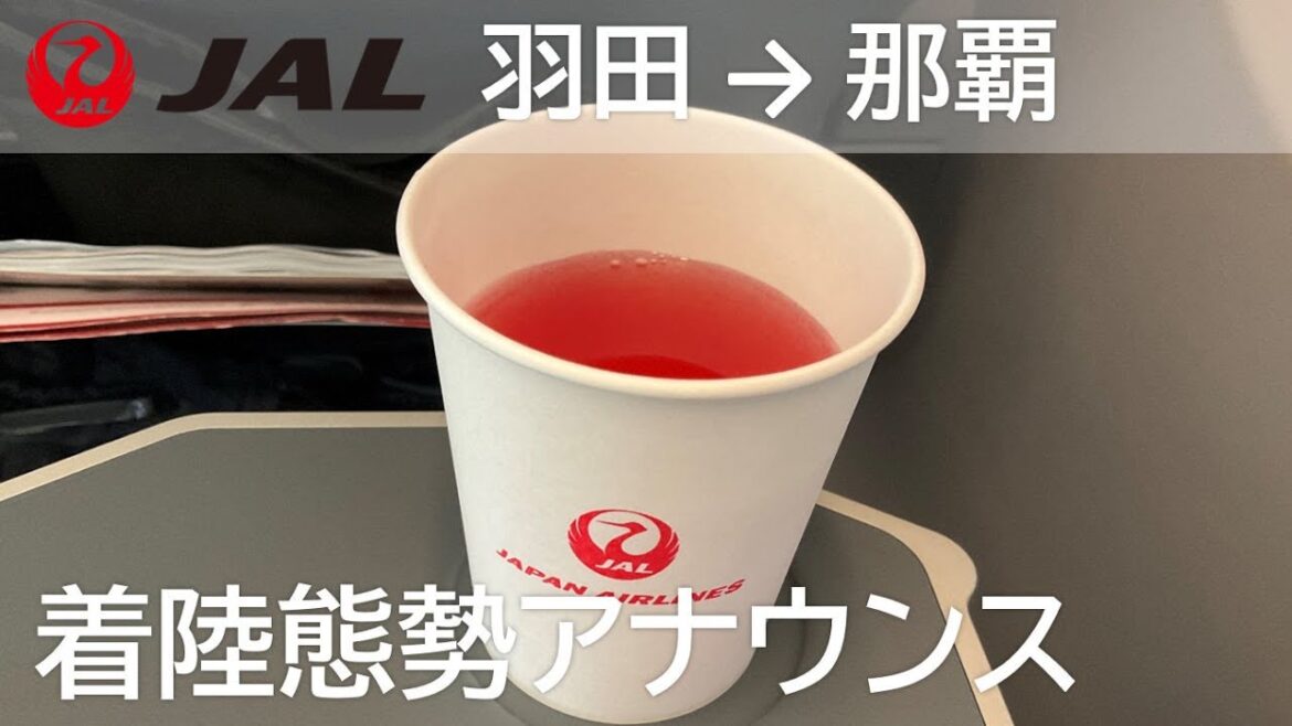 【着陸態勢アナウンス】JAL915便 羽田空港→那覇空港 Landing Announcement
