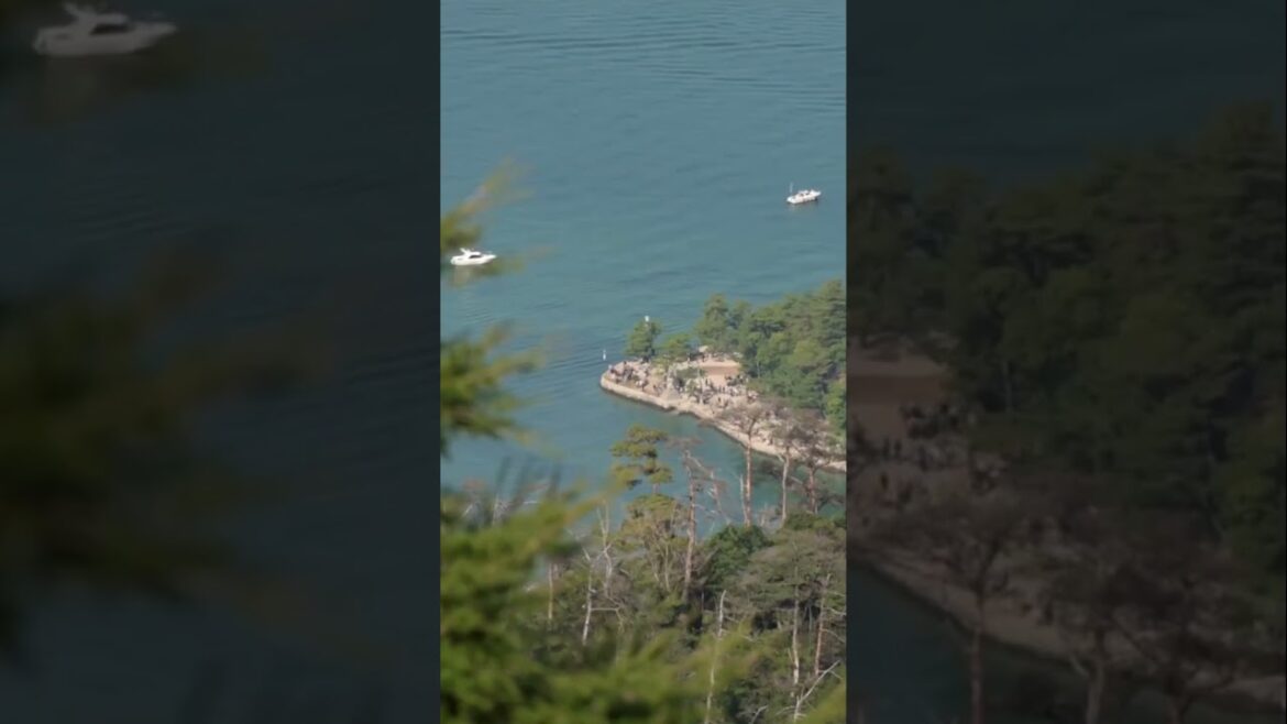 Exploring Japan | Miyajima Island #shorts  #travel