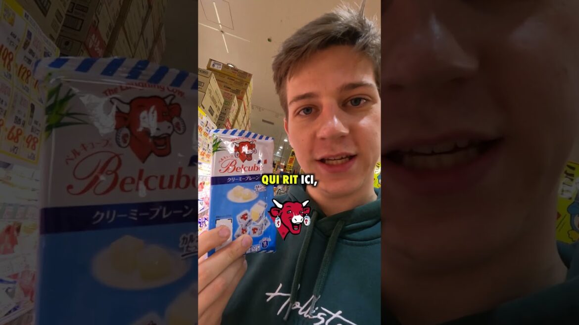 Les DON QUIJOTE au JAPON