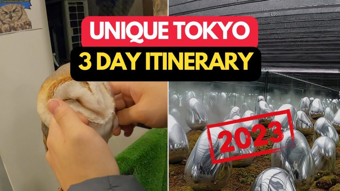 3 Day Unique Itinerary In Tokyo 2023 | Return and New Visitors | Japan Travel Guide