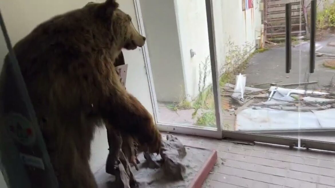 Abandoned Spa Hotel, In Remote Japan. Hotel Spa Abandonné au fin fond du Japon