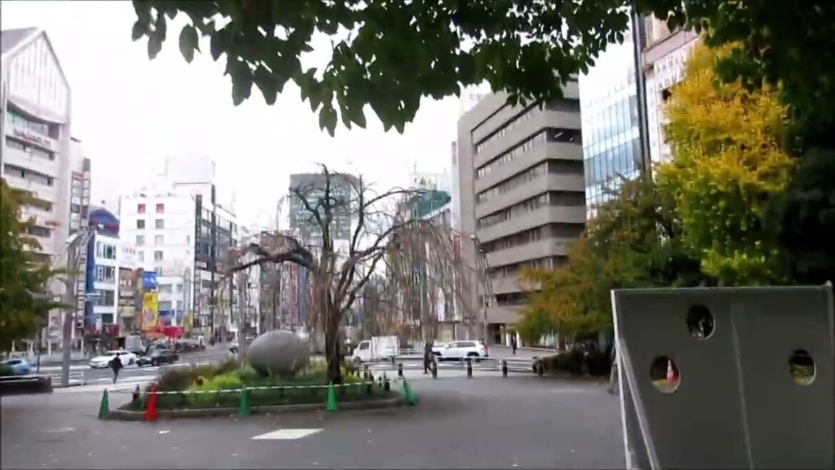 le voyage de ma vie clip JAPAN… partie Ueno 上野 le voyage de ma vie clip JAPAN... partie Ueno 上野