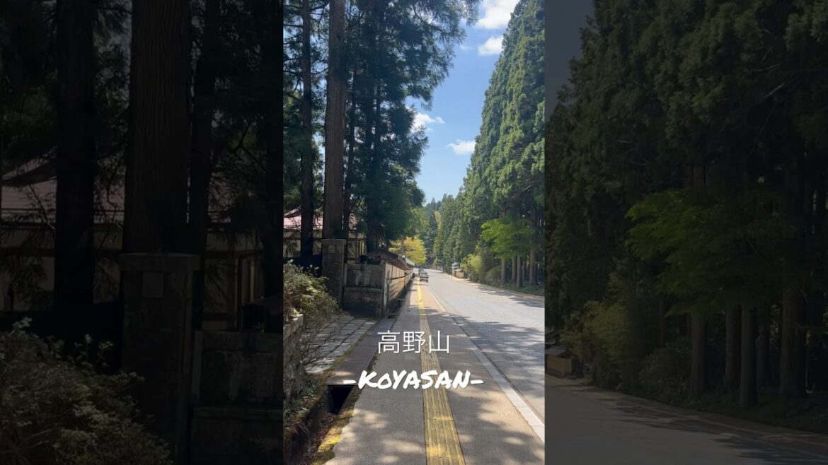 高野山  散策 / Koyasan