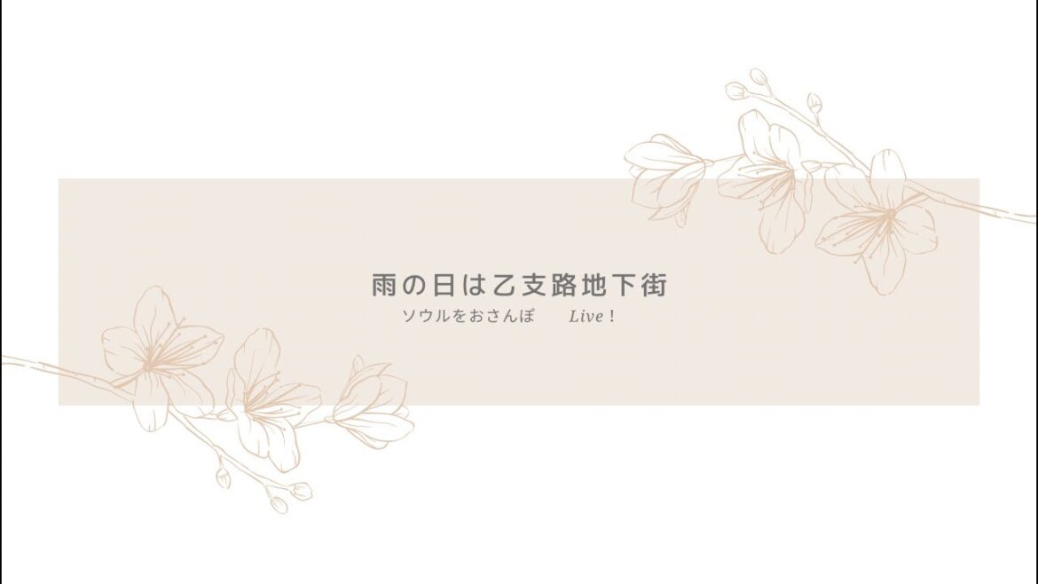 Live!雨の日は乙支路地下街 Live!雨の日は乙支路地下街