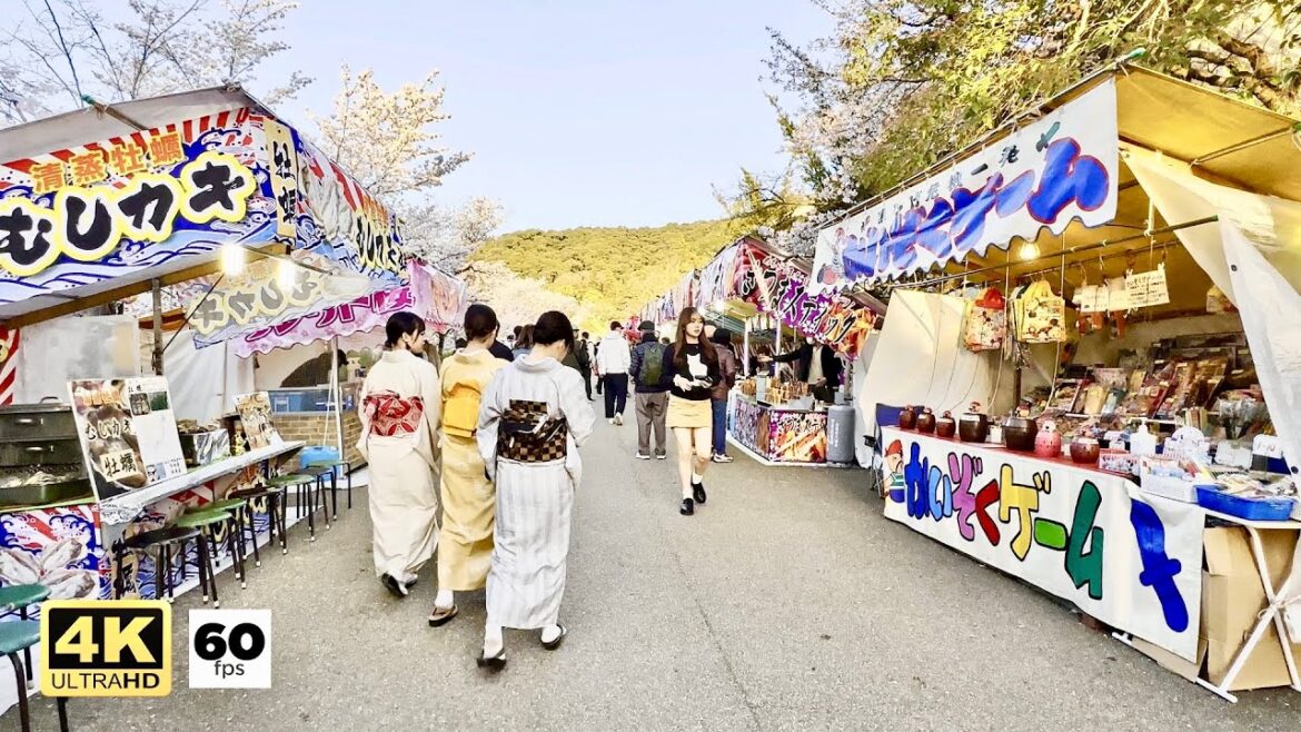 JAPANESE STREET FOOD | Foods at Maruyama Park Kyoto, Japan