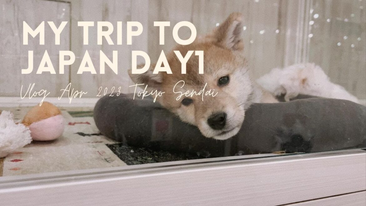 Japan Vlog 2023 Day 1 (Narita - Tokyo - Sendai)
