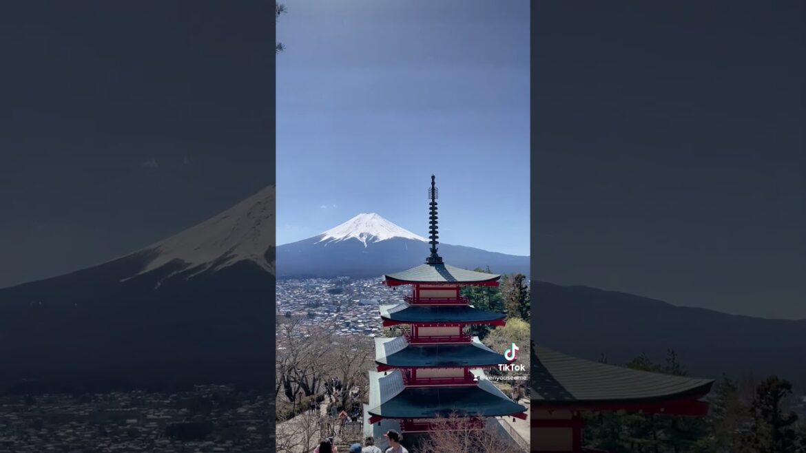 Beautiful View from Chureito Pagoda in Japan!  🇯🇵 #chureitopagoda #japan #fujiyoshida #mtfuji