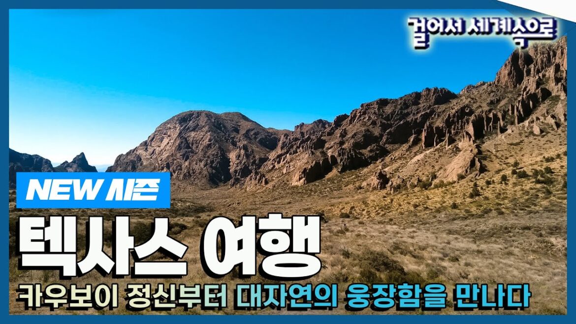 [✨NEW✨#걸어서세계속으로📺] 서부 영화의 한 장면을 보는 듯한 '텍사스' 여행 Trip to Texas (KBS_20230429)