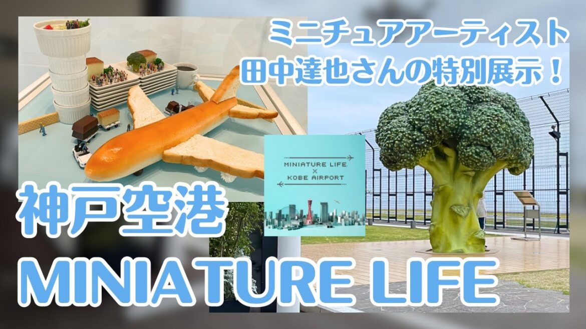【兵庫 UKB】巨大ブロッコリー!?パンの飛行機!?「Miniature Life×Kobe Airport」神戸空港の新スポットを楽しんできた 【兵庫 UKB】巨大ブロッコリー!?パンの飛行機!?「Miniature Life×Kobe Airport」神戸空港の新スポットを楽しんできた