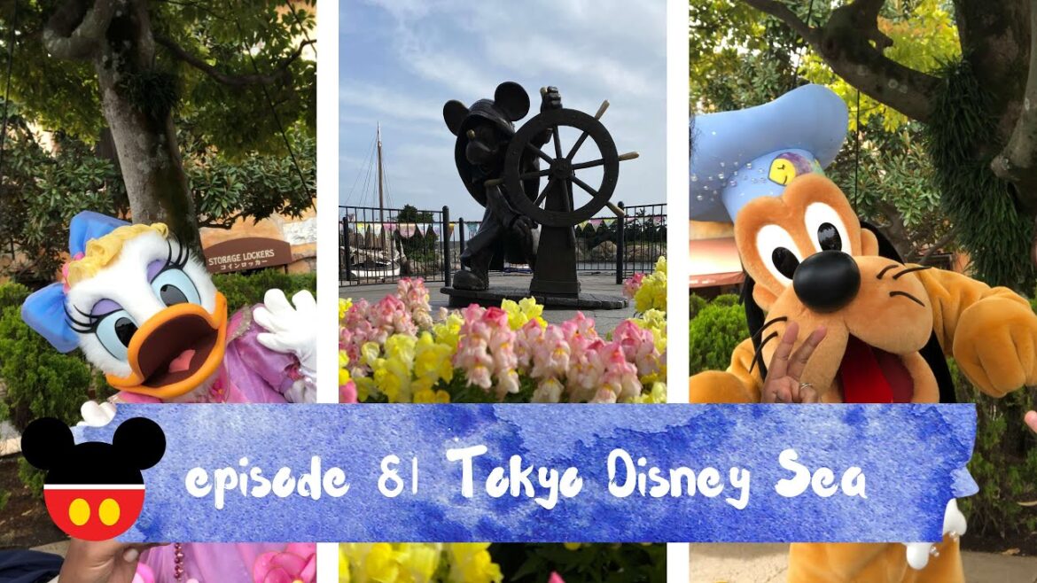 Things I wish I knew before going to Tokyo DisneySea Things I wish I knew before going to Tokyo DisneySea