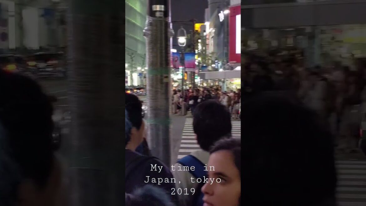 My time in Japan, Tokyo was an amazing trip