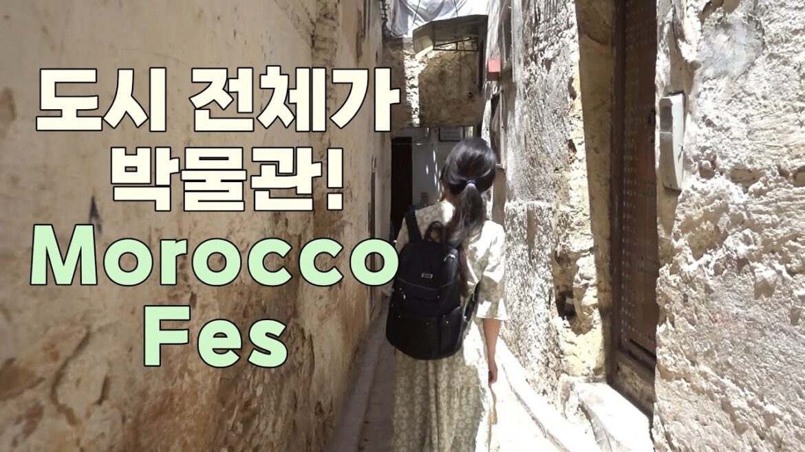 세계에서 가장 복잡한 골목! 페즈의 메디나를 함께 걸어봐요. | 모로코브이로그 세계에서 가장 복잡한 골목! 페즈의 메디나를 함께 걸어봐요. | 모로코브이로그