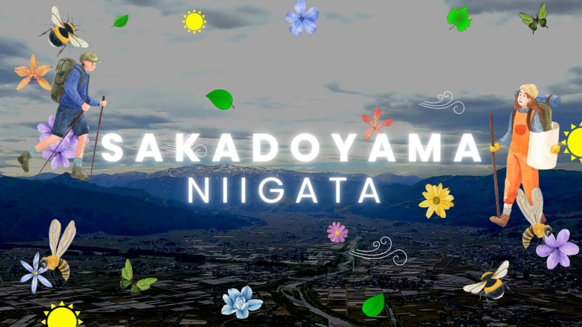 Hiking in Japan l Sakadoyama Niigata l May 2023 Hiking in Japan l Sakadoyama Niigata l May 2023