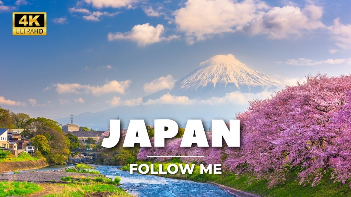 Japan Travel Vlog #Japan #travel #traveling #travelvlog #vlog