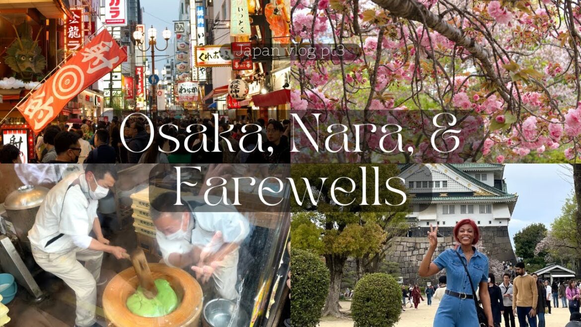 MY FIRST TIME IN JAPAN 🇯🇵 | Pt 3 Osaka, Nara, & Tokyo | first solo travel abroad | Japan travel vlog