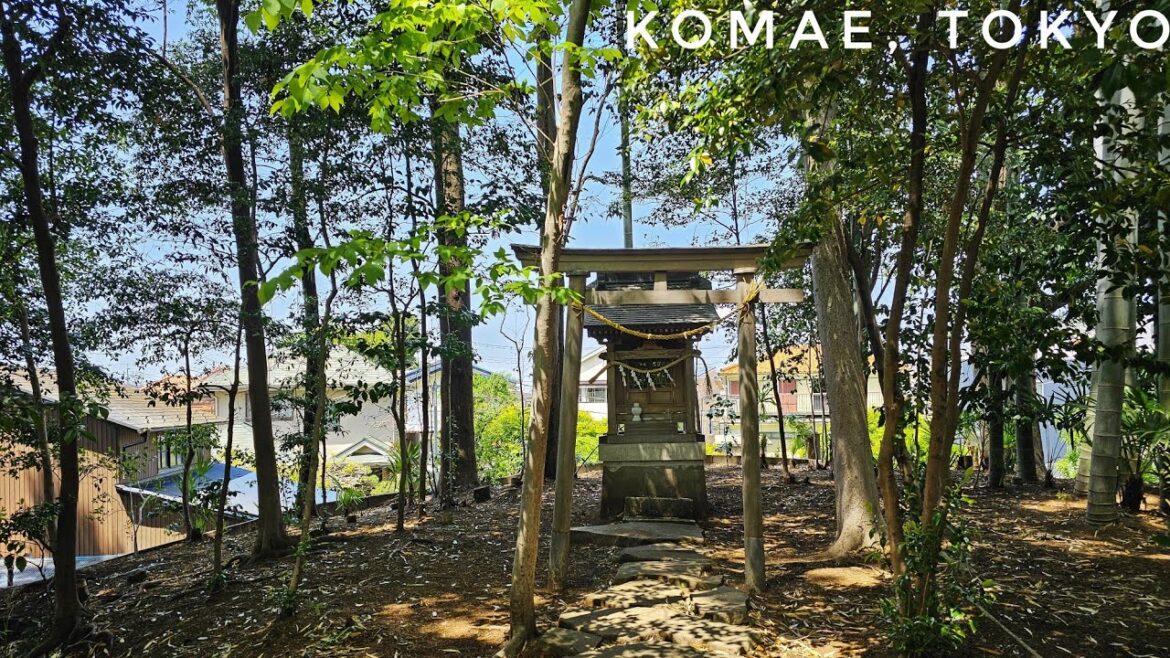 Komae, Tokyo - Morning Walk