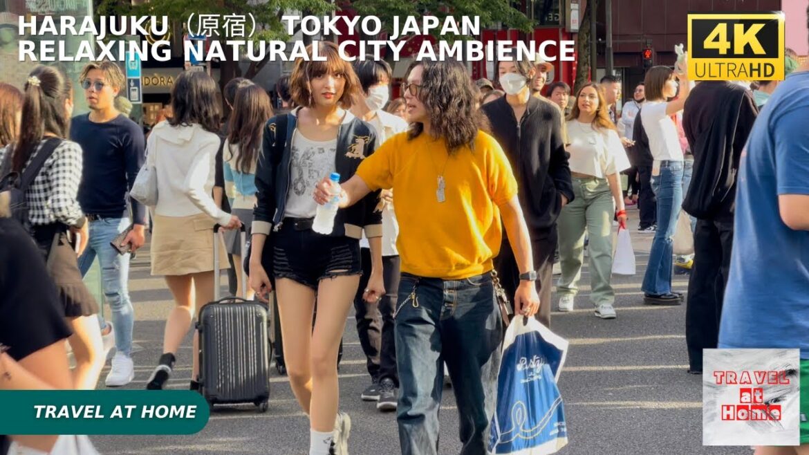 4k hdr japan travel | Walk in Harajuku(原宿)Tokyo japan | Relaxing Natural City ambience 4k hdr japan travel | Walk in Harajuku(原宿)Tokyo japan | Relaxing Natural City ambience