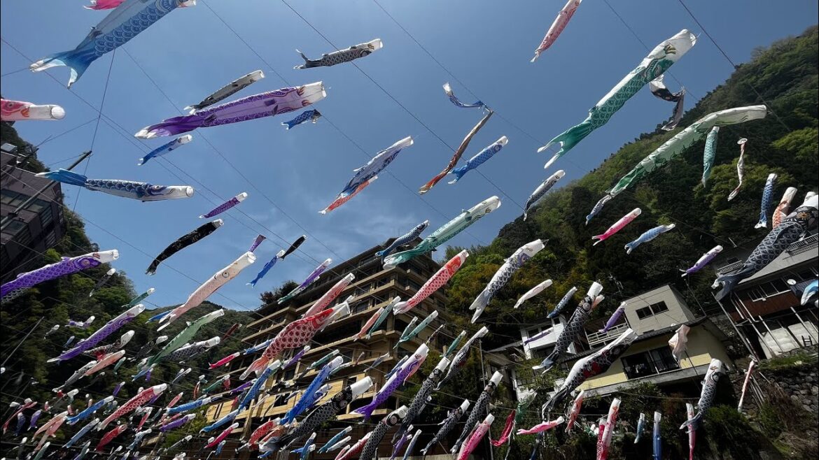You can swim with 3,500 carps in Japanese rivers. Koinobori 🎏. Kumamoto: Tsuetate Onsen. light up.