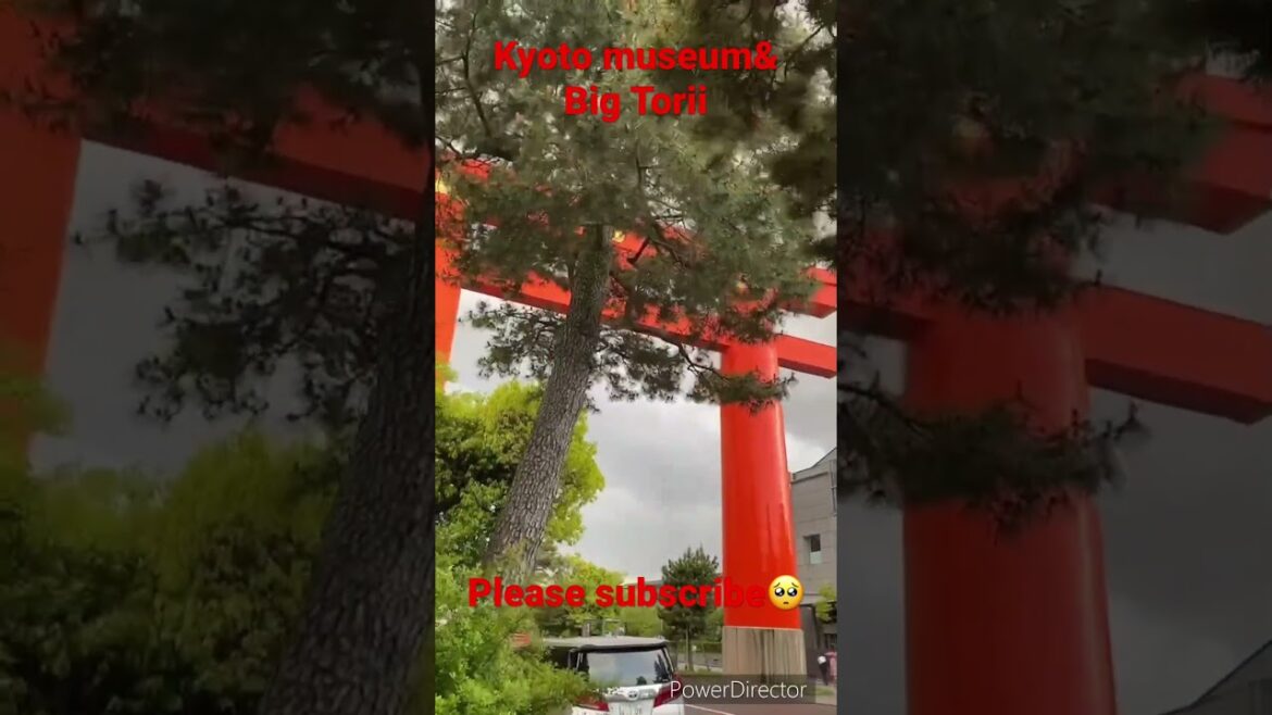 【KYOTO 】Kyocera museum & big Torii #kyoto #shorts #travel #walking #pleasesubscribe #shrine #trip 【KYOTO 】Kyocera museum & big Torii #kyoto #shorts #travel #walking #pleasesubscribe #shrine #trip