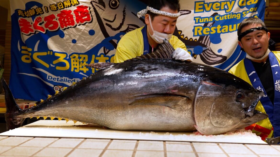 Amazing Bluefin Tuna Cutting Show | Japanese Giant Fish Sashimi | Tokyo Street Food