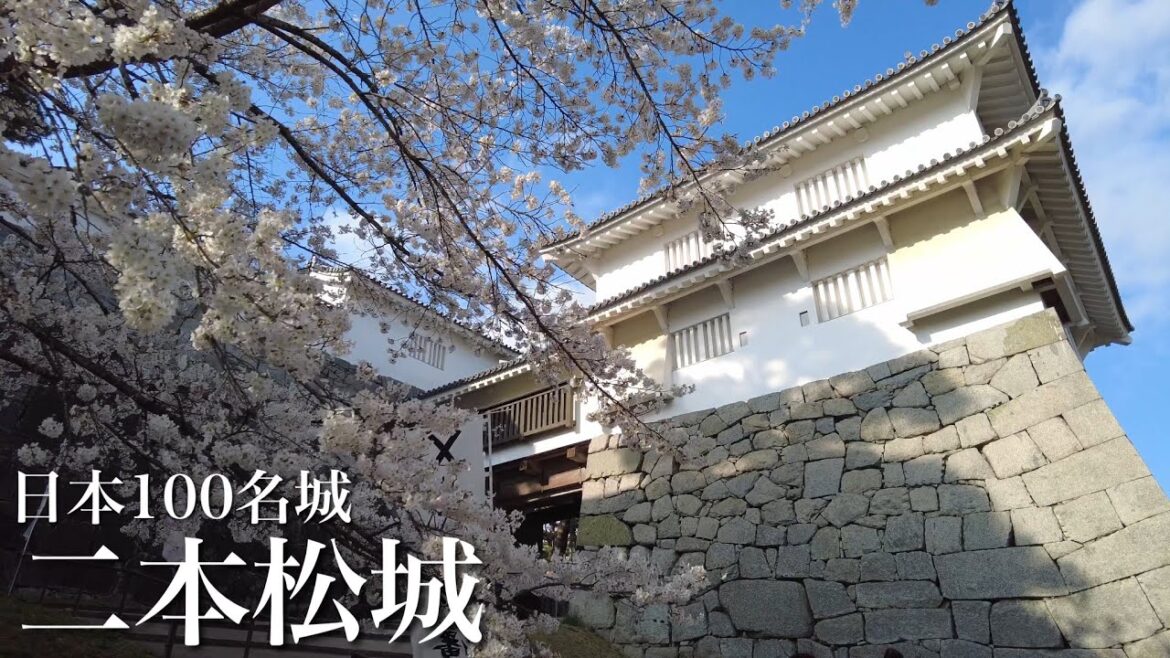 日本100名城 二本松城 霞ヶ城公園 桜 福島県 Nihonmatsu Castle 2023 日本100名城 二本松城 霞ヶ城公園 桜 福島県 Nihonmatsu Castle 2023
