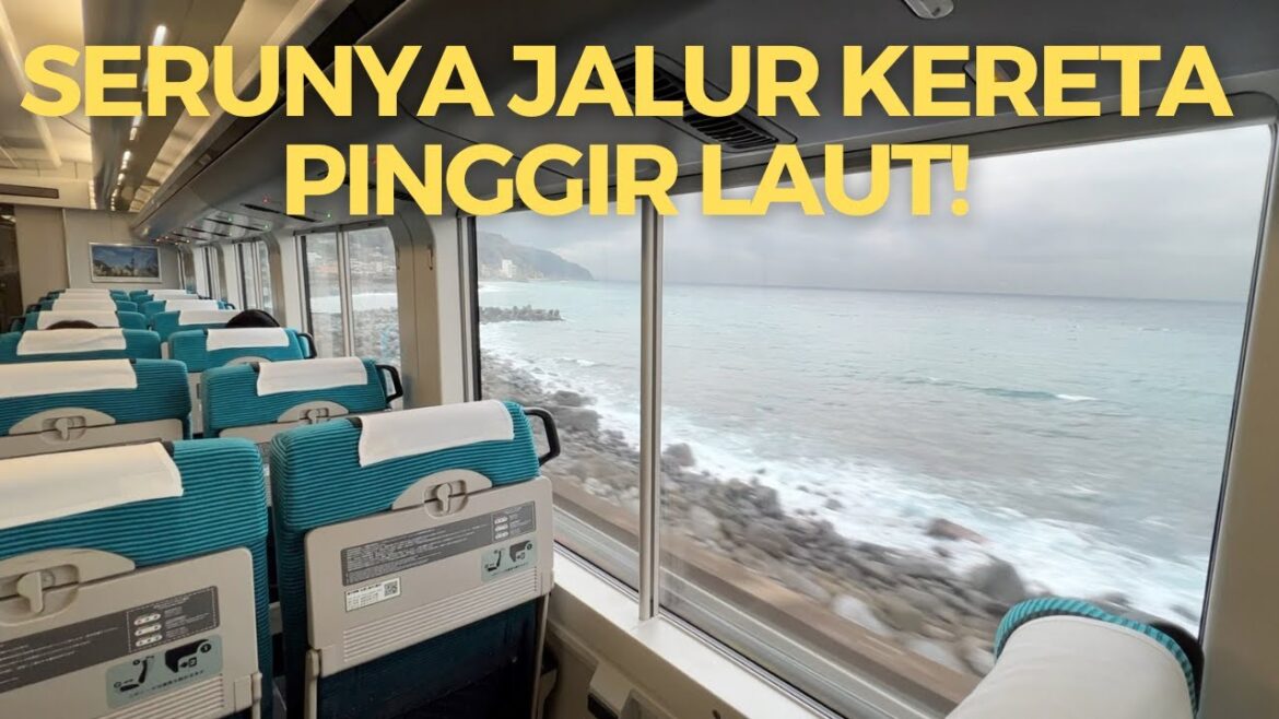 JALUR KERETA DI PINGGIR LAUT, KERETA ODORIKO IZUKYU SHIMODA - TOKYO | JAPAN RAIL SERIES EP. 8