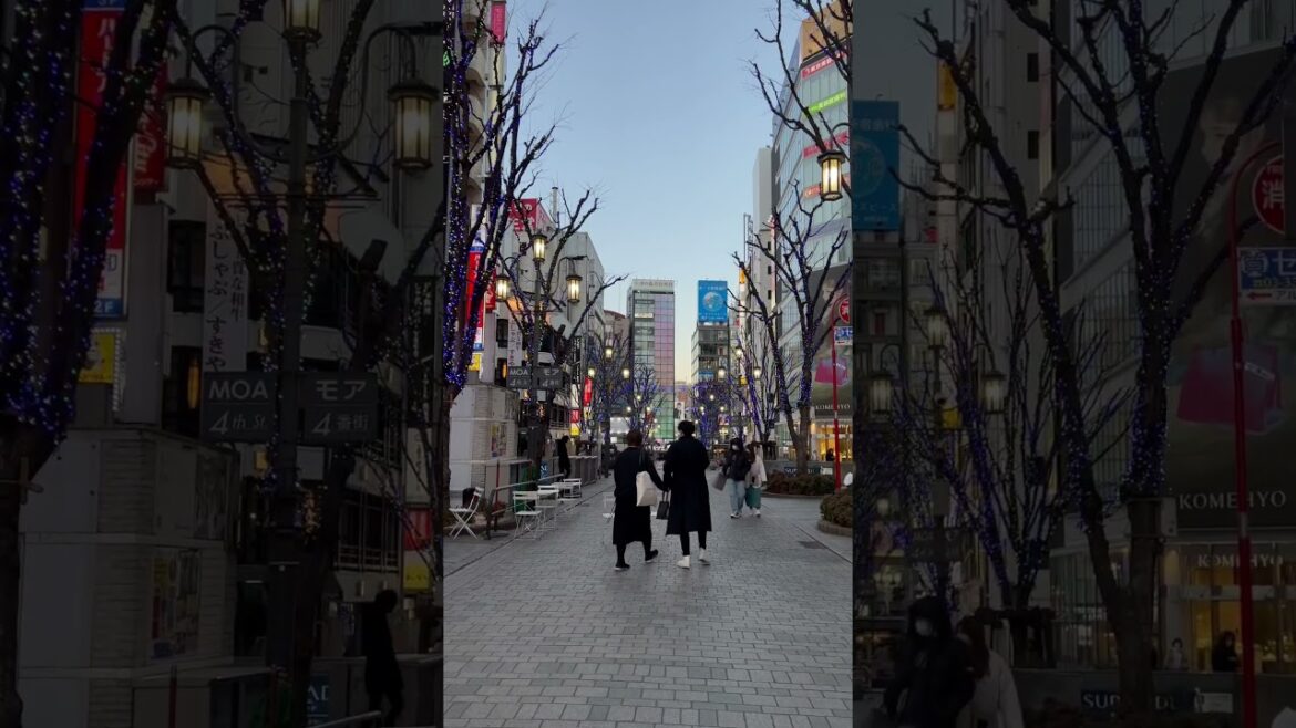 My First Encounter with Japan: Awe-Inspiring Arrival