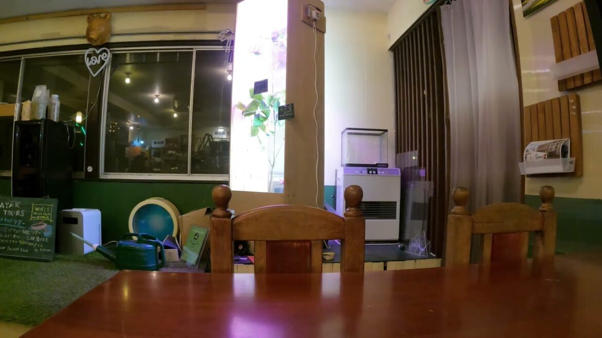 Fascinating Interview with Local shop owner in Aokigahara Final