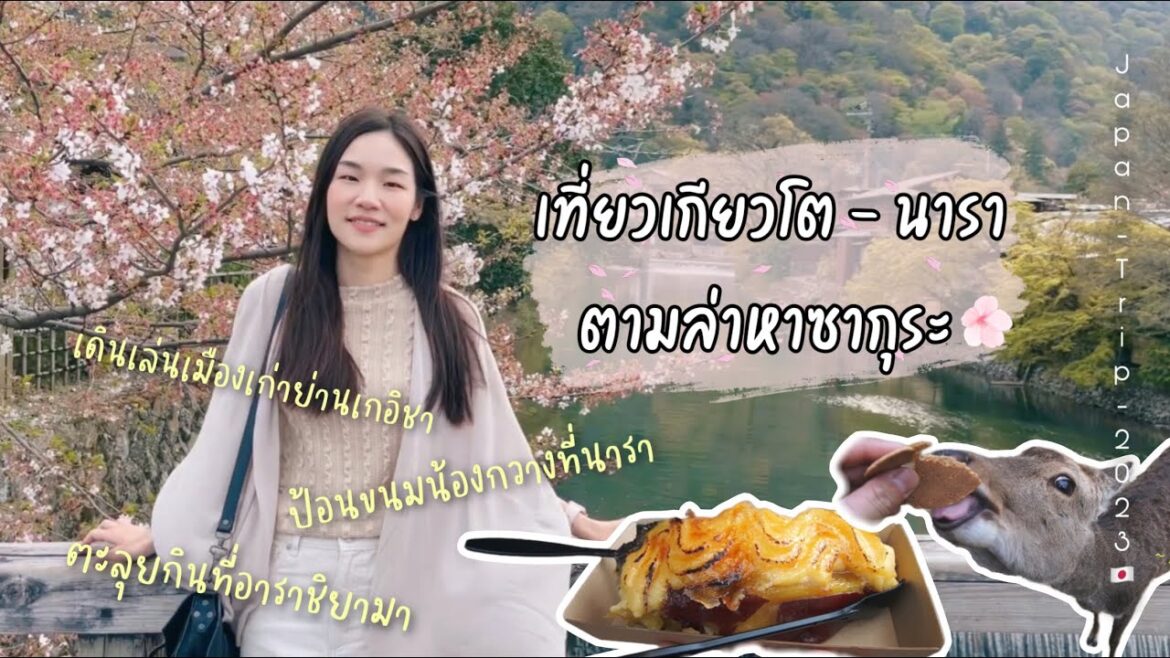 เที่ยวญี่ปุ่น 2023 🇯🇵 | EP.1 - ตามหาจุดชมซากุระในเกียวโต ป้อนขนมน้องกวางที่นารา