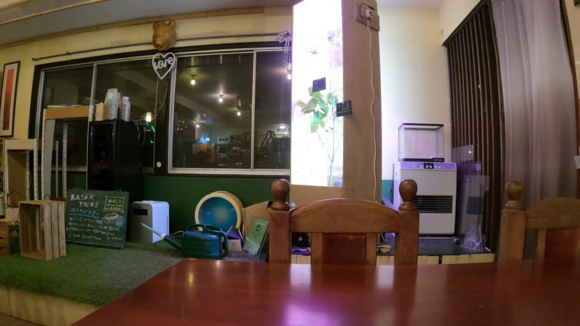 Fascinating interview with local shop owner Aokigahara   Part 2