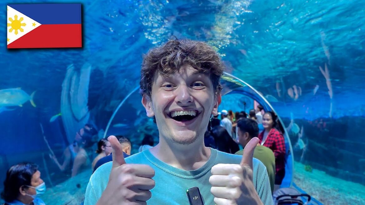 Manila Ocean Park Really Surprised Us! π΅π Manila Ocean Park Really Surprised Us! π΅π