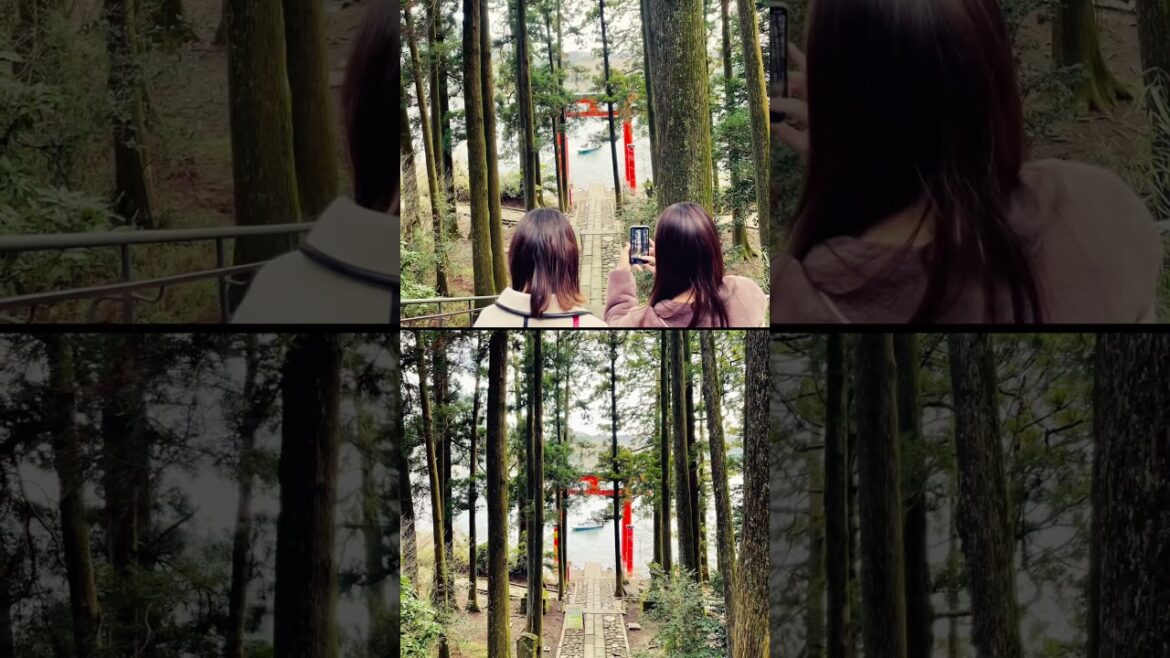 Hakone, Japan Trip !! Last year!! One of the must visit place in Japan #hakone