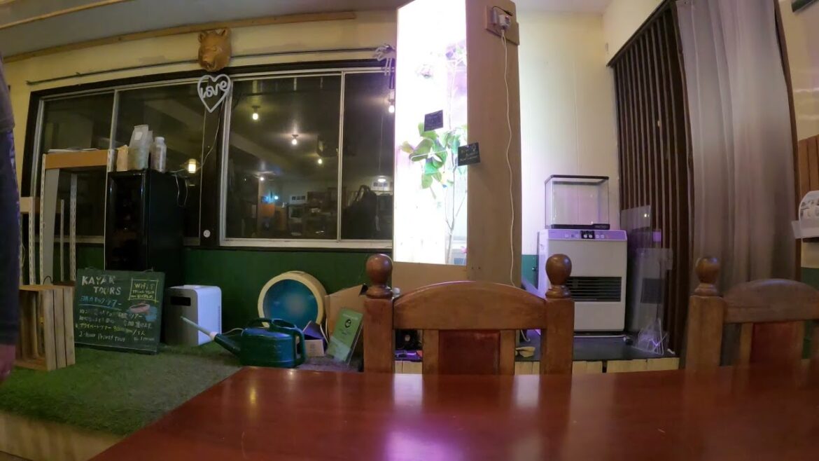 Fascinating interview with local shop owner Aokigahara  Part 1