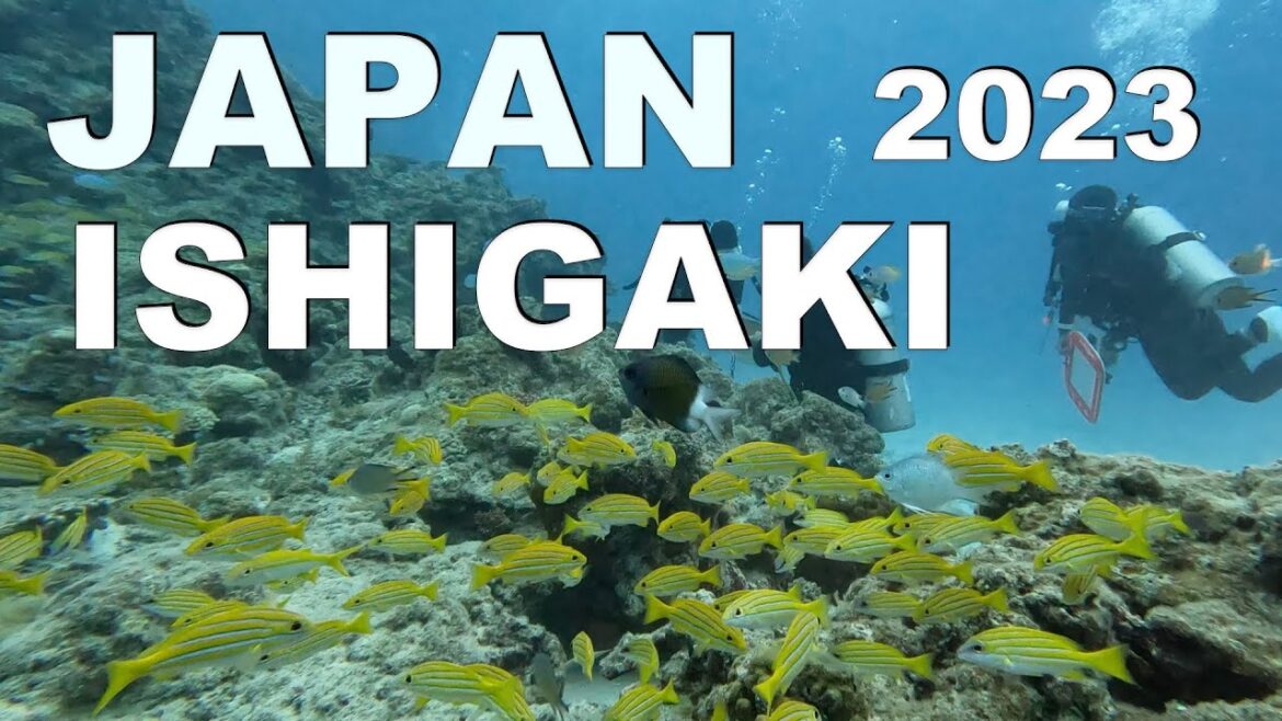 【JAPAN】ISHIGAKI DIVING ゆいマーレ 2023 4K DIVE1