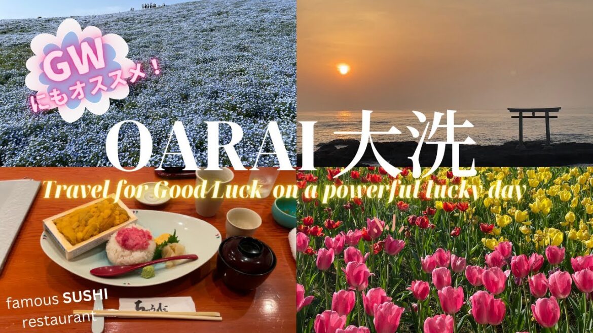 【開運旅行】GWにもオススメ❗️ネモフィラ、寿司sushi 、大洗磯前神社の日の出 ✨in 超開運日 Oarai shrine,seaside park 大洗ホテルANNEX魚来庵《開運解説付き》 【開運旅行】GWにもオススメ❗️ネモフィラ、寿司sushi 、大洗磯前神社の日の出 ✨in 超開運日 Oarai shrine,seaside park 大洗ホテルANNEX魚来庵《開運解説付き》
