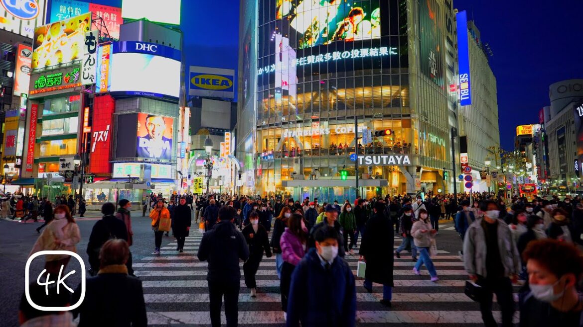 Tokyo Shibuya - Winter Night