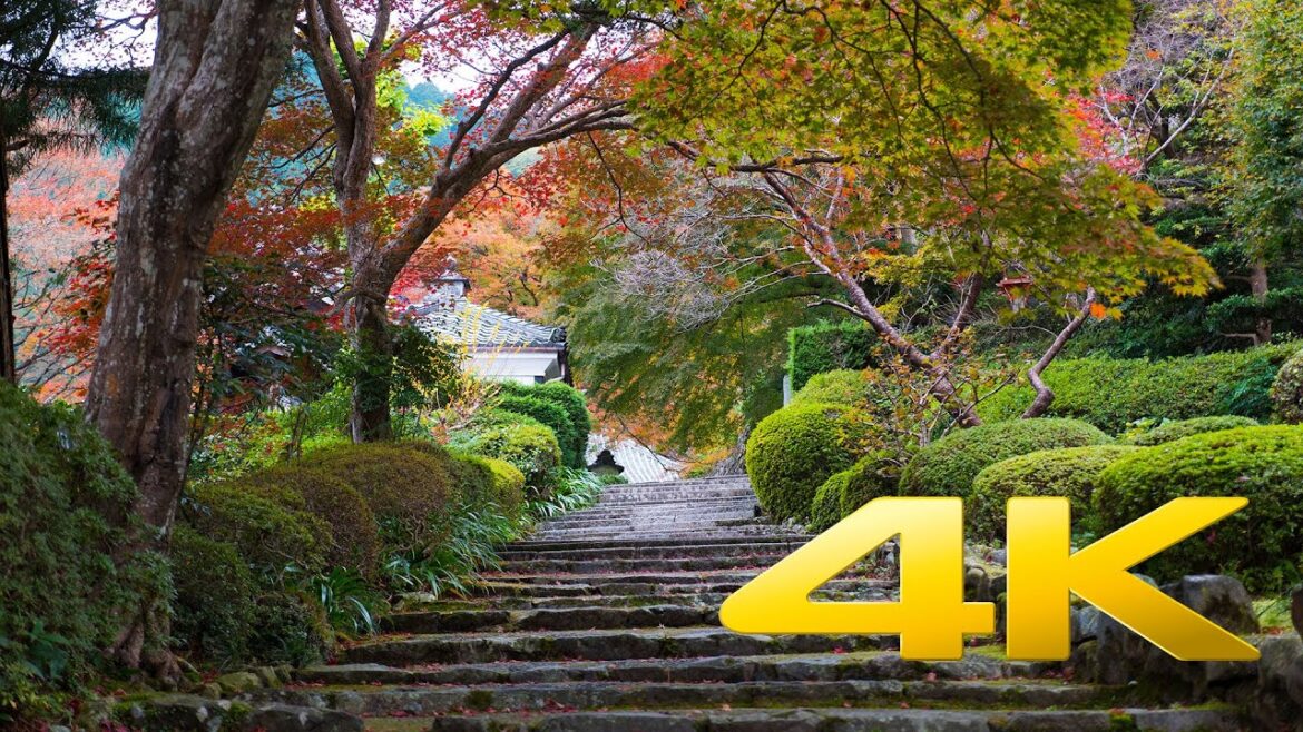 Kyoto Yoshimine-Dera - 善峯寺 - 4K Ultra HD