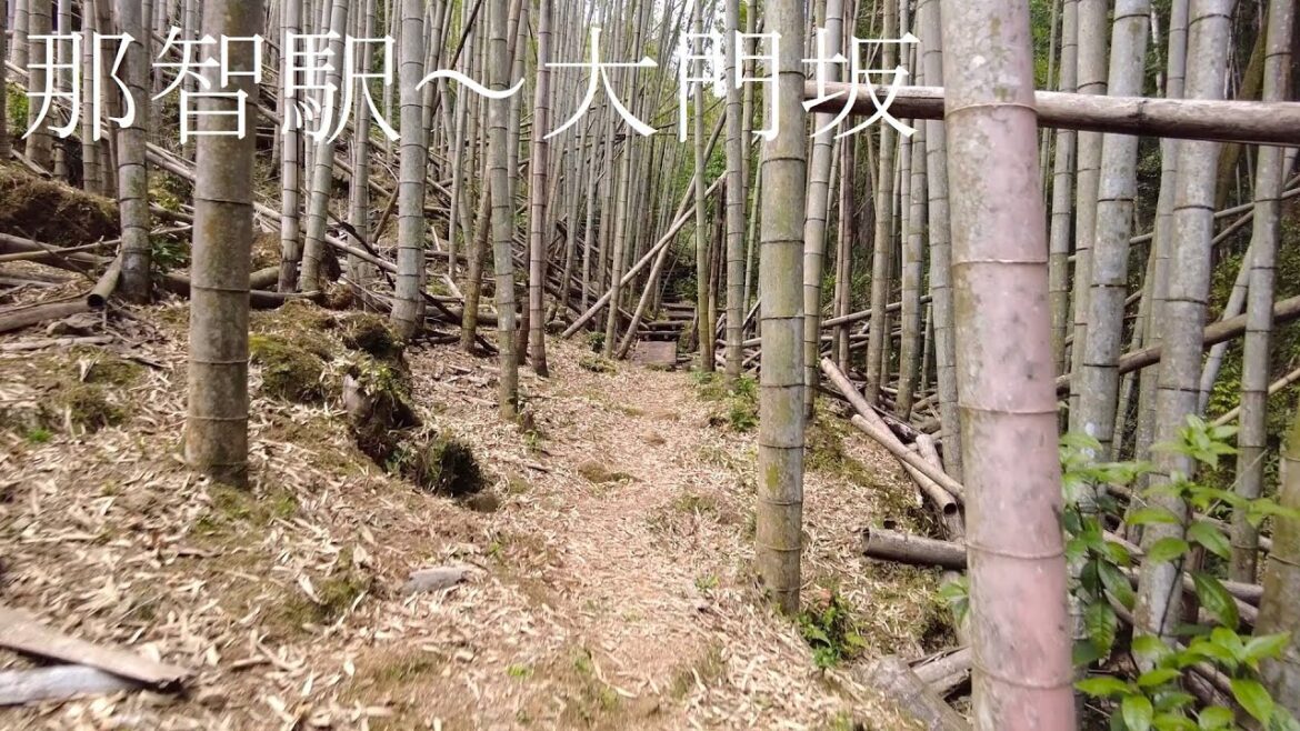熊野古道 那智駅から大門坂まで歩くだけ。【和歌山】:Walking from Nachi Station to Daimonzaka(wakayama, japan) 熊野古道 那智駅から大門坂まで歩くだけ。【和歌山】:Walking from Nachi Station to Daimonzaka(wakayama, japan)