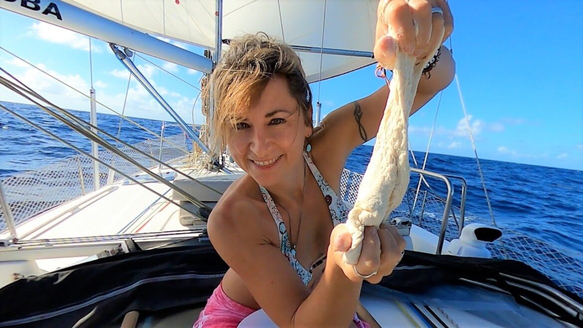 ATLANTIC CROSSING ๐ Everything is BREAKING! โต Pt.1 – Sailing SV CUBA EP.63 ATLANTIC CROSSING ๐ Everything is BREAKING! โต Pt.1 - Sailing SV CUBA EP.63