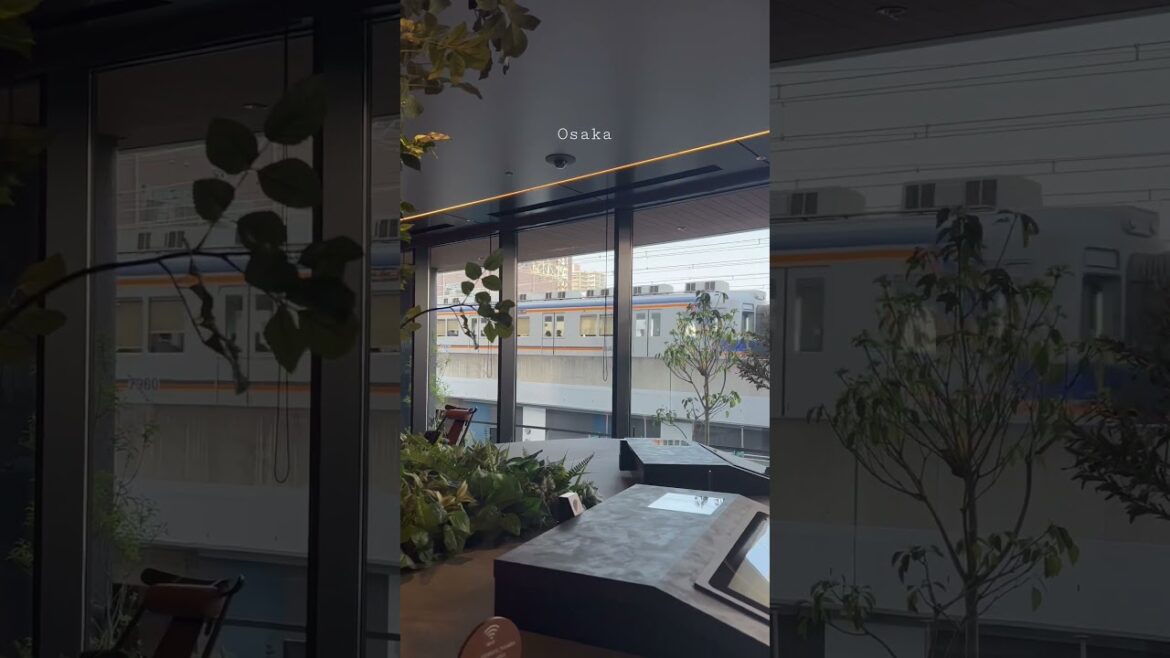 [오사카]올해 생긴 호텔, 체크인뷰..♡ #osaka #hotelview  #travel #travelshorts