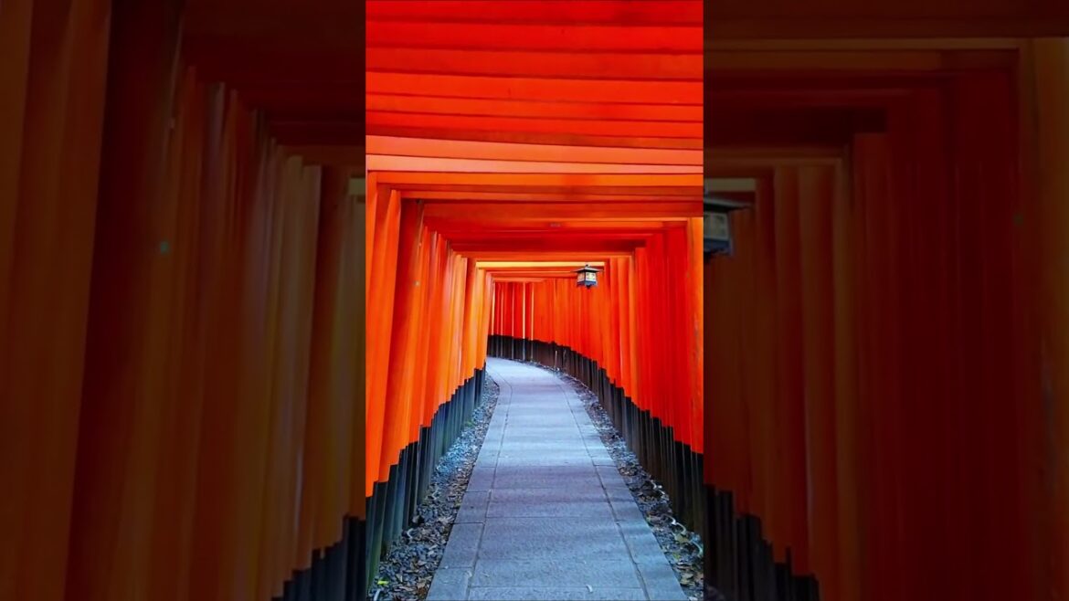 Take a short virtual walk through the Torii gates at Fushimi Inari Taisha, Kyoto.